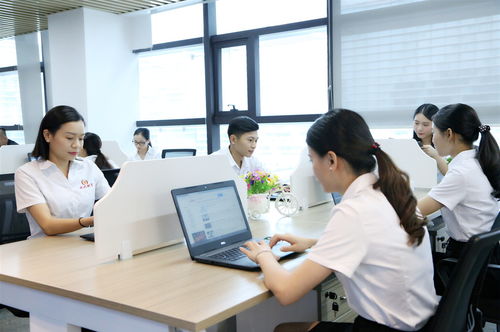 新公司注冊后，選擇代理記賬的三大好處與明智決策指南